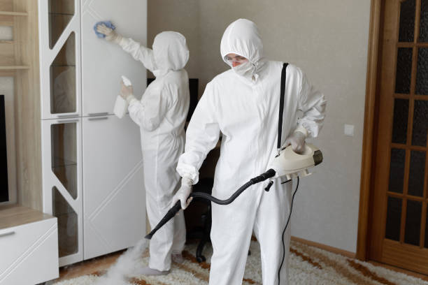 Best Crawl Space Mold Remediation in Whittier, CA